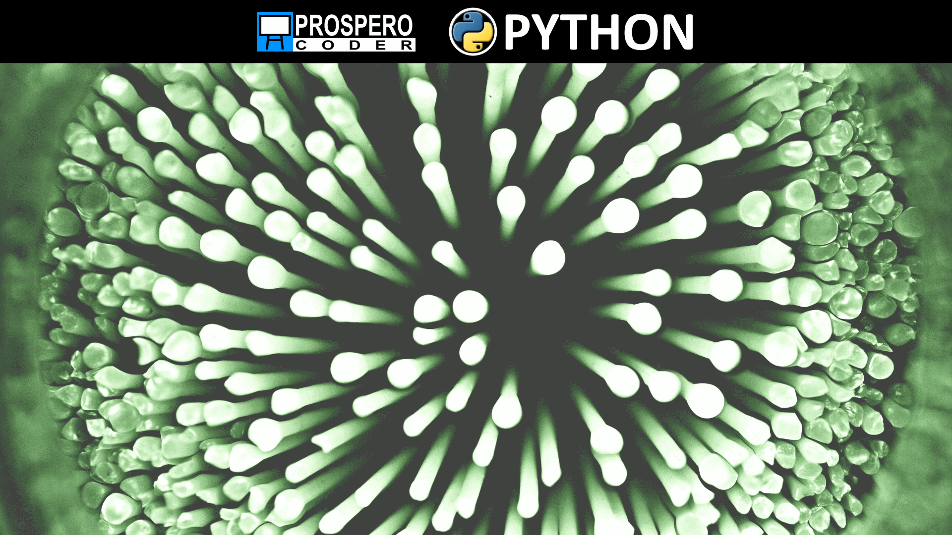 multiple-iterator-vs-single-iterator-prospero-coder