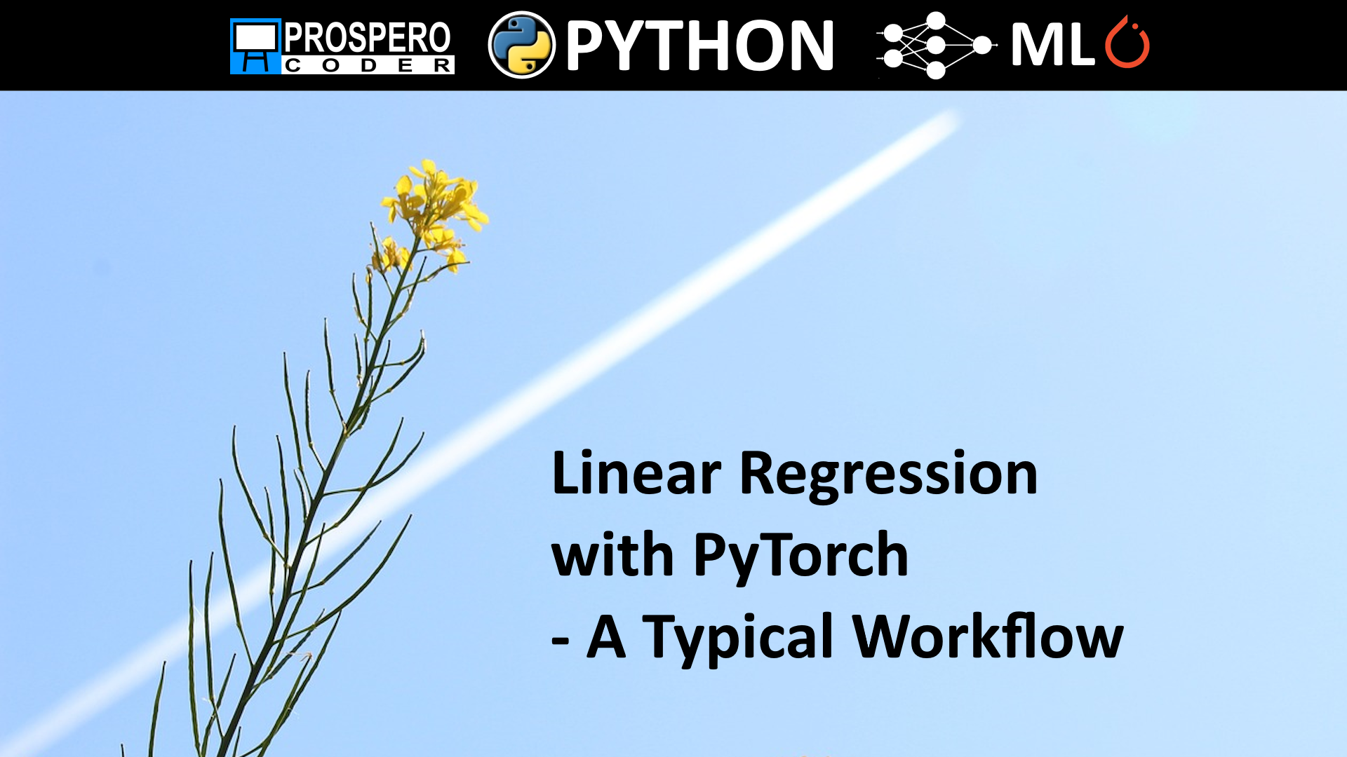 Linear Regression with PyTorch - A Typical Workflow - Prospero Coder